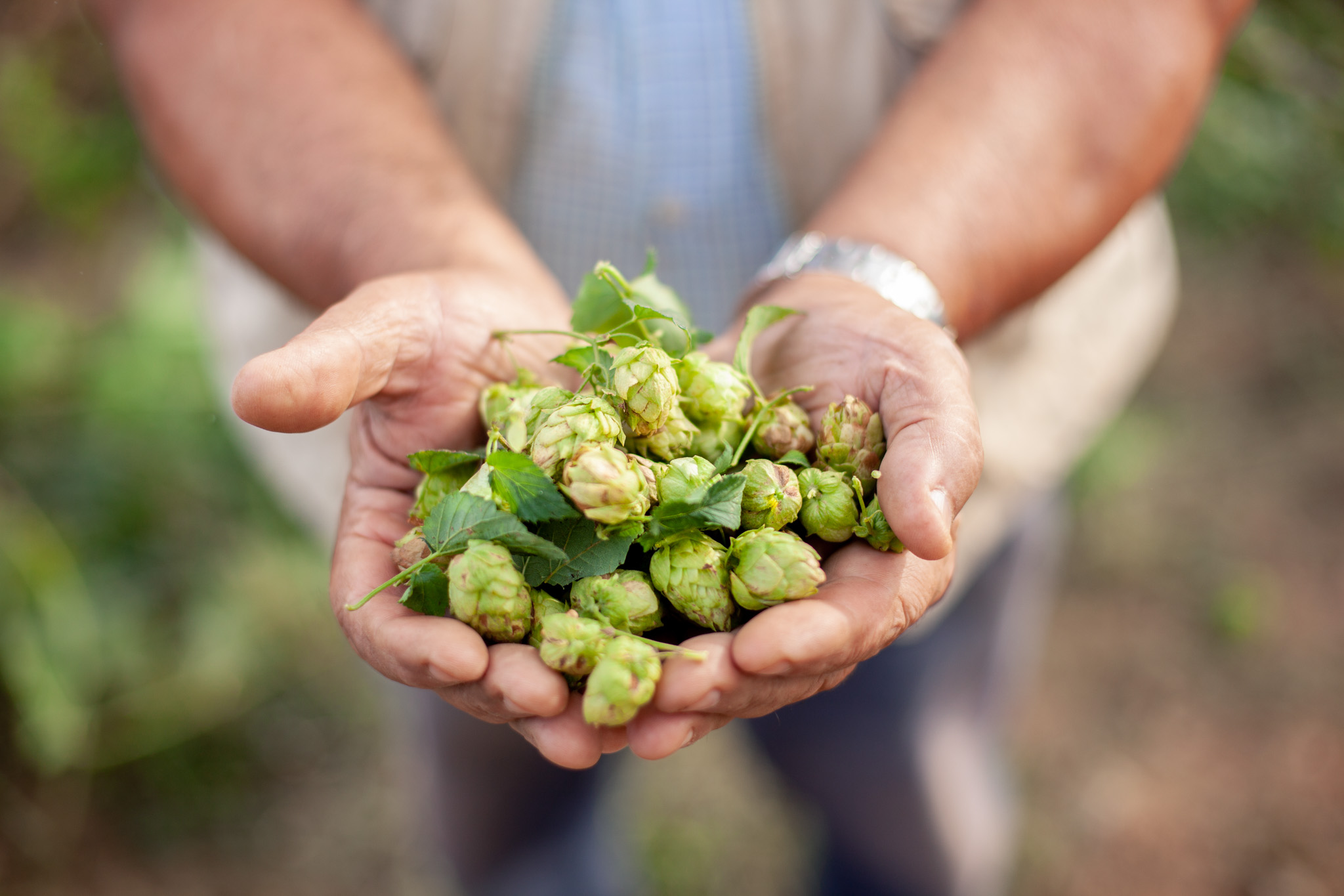 Campaña fotográfica Cerveza Artesanal por Polarizador Estudio, detalle 11